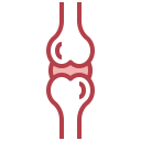 health,healthcare and medical,education,healthcare,people,body parts,diagram,body,anatomy,knee,physiology,human,joint,knee joint ok 